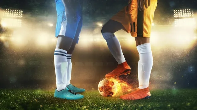 用户在手机上使用皇冠体育APP